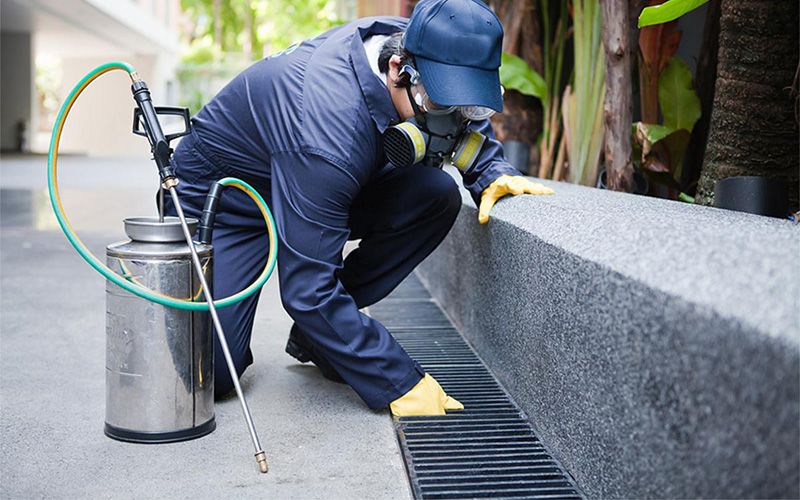 Antalya Aksu Böcek İlaçlama Profesyonel Uygulama